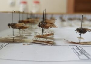 photo_2020-11-17_13-42-251