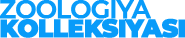 ZK_BL