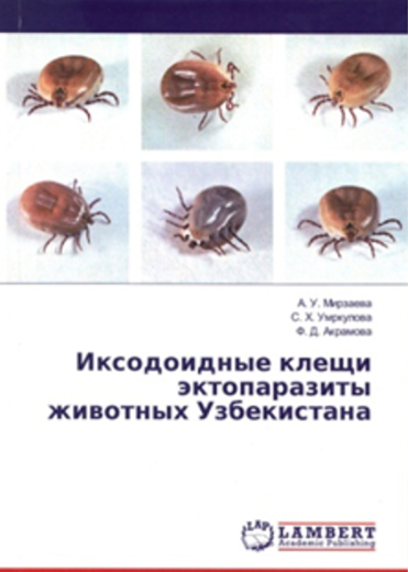 monografiya-4